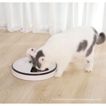 Auto Timed Pet Feeder